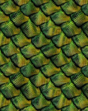 Dragon Scales Green 22