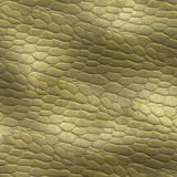 Dragon-Underbelly-22-thumb.jpg