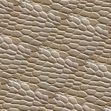 Dragon-Underbelly-23-thumb.jpg