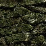 Dragons-Underbelly-Camo-43.jpg