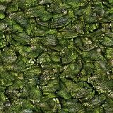 Dragons-Underbelly-Camo-44.jpg