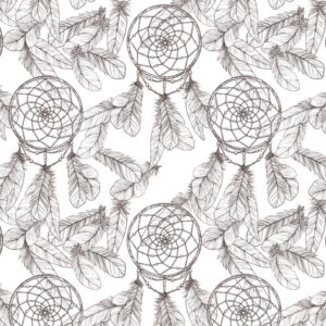 DreamCatcher 22