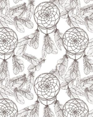 DreamCatcher 22