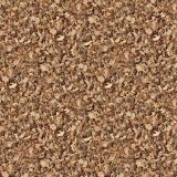 Dried-Leaves-22.jpg