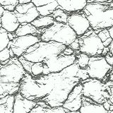 Dried-and-Cracked-23.jpg
