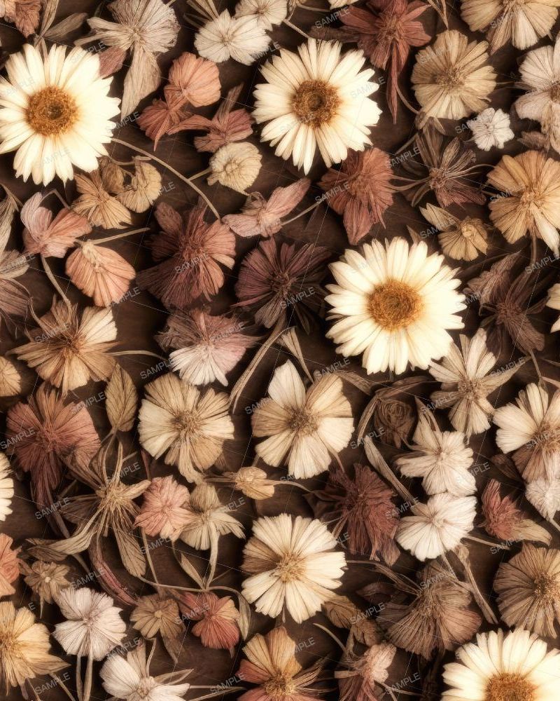 Dried and Pressed Flowers 42