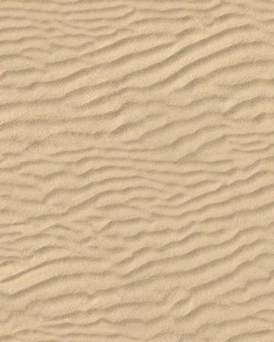 Drifting Beach Sand