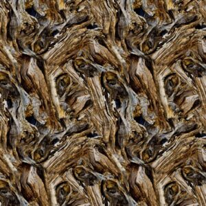 Driftwood 22