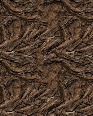 Driftwood 23