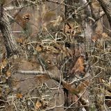 Dual-Camo1.jpg