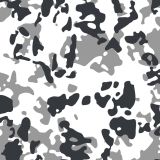 Dual-Grayscale-Camo-22-thumb.jpg