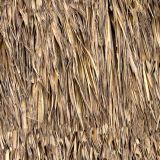 Duck-Blind-22-Camo-thumb.jpg
