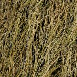 Duck-Grass-Camo-thumb.jpg