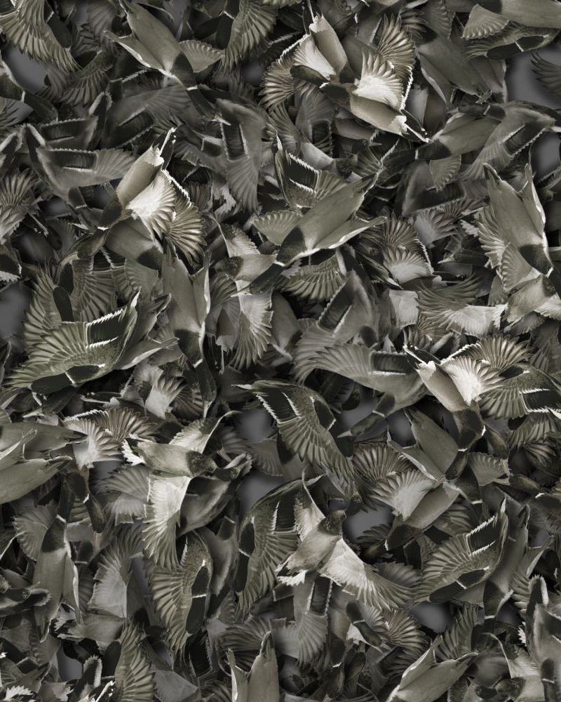 Duck Hunter 24 Camouflage
