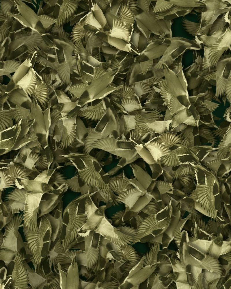 Duck Hunter 25 Camouflage