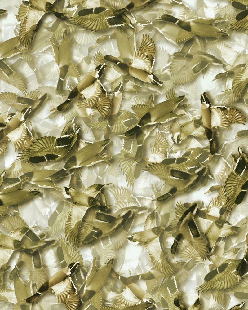 Duck Hunter 27 Camouflage