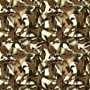 Ducks