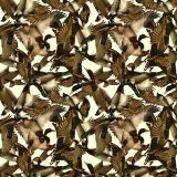 Ducks.jpg