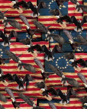 Eagle Flag 26
