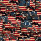 Eagle-Flag-26.jpg