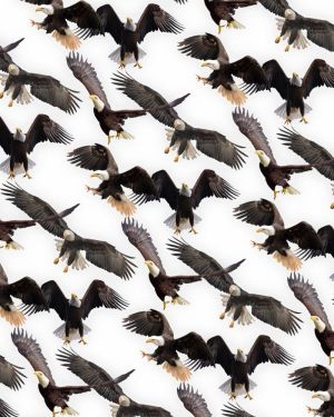 Eagles 23