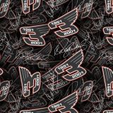 Earnhardt-Wings.jpg