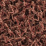 Earthworm-Jim-22.jpg
