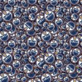 Edmonton-Oilers-22.jpg