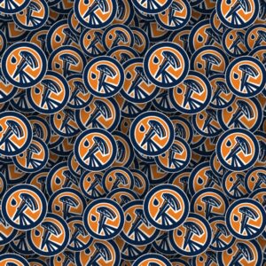 Edmonton Oilers 26