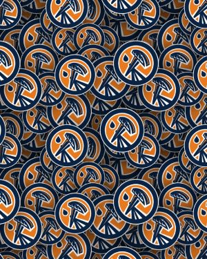 Edmonton Oilers 26