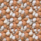 Eggs-22.jpg