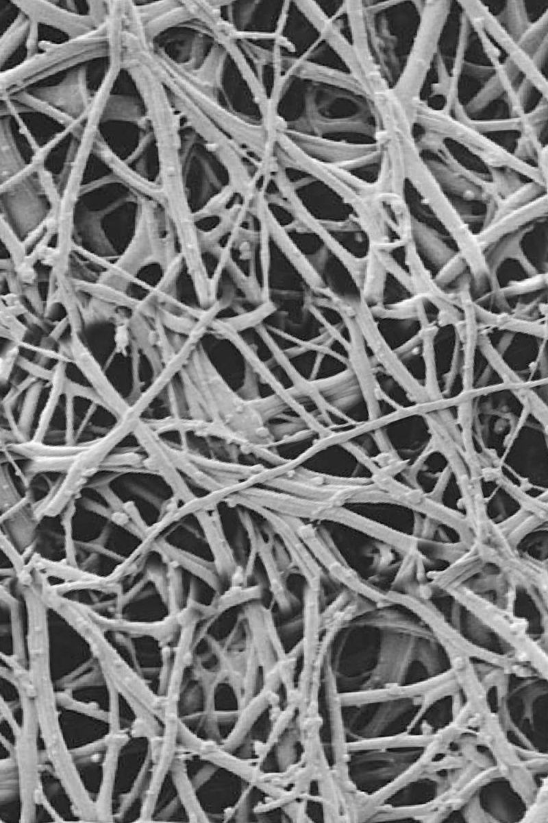 Eggshell Macro
