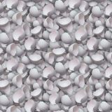 Eggshells-22.jpg