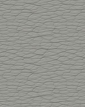 Elephant Hide 21