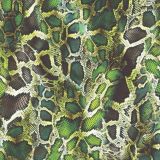 Emerald-Boa-Skin.jpg