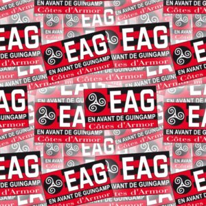 En Avant de Guingamp