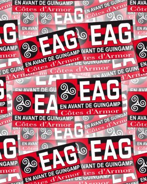 En Avant de Guingamp