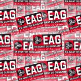 En-Avant-de-Guingamp.jpg