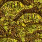 Enchanted-Forest-Camo-thumb.jpg