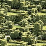 English-Maze-Garden.jpg