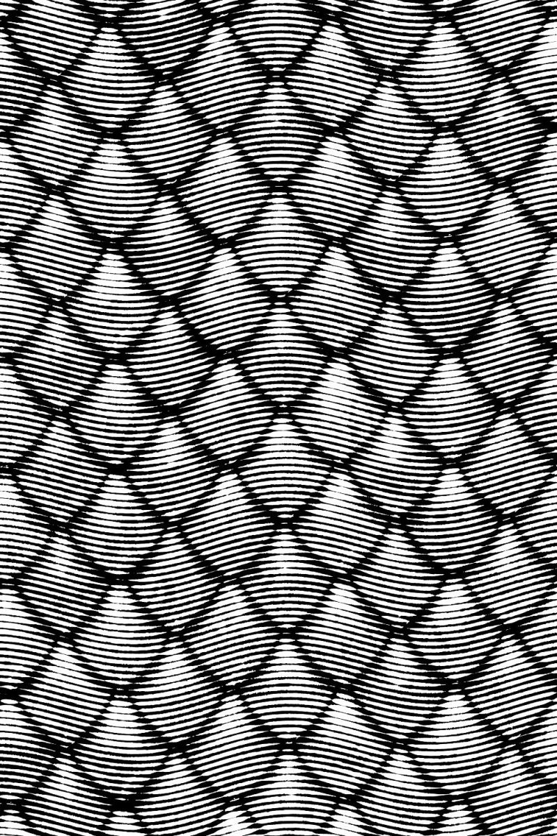 Engraved Dragon Scales