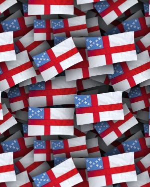 Episcopal Flag 22
