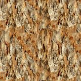 Eucalyptus-Bark-23.jpg