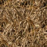 Everglades-Camo-24-thumb.jpg