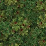 Evergreen-Fir-with-Cones-thumb.jpg