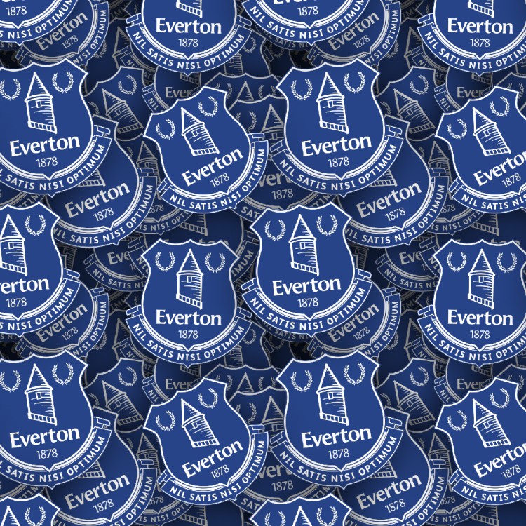 Everton FC 22