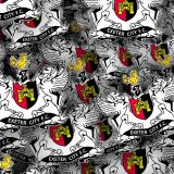 Exeter-City-FC-thumb.jpg