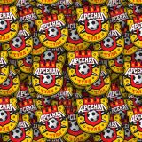FC-Arsenal-Tula.jpg