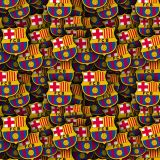 FC-Barcelona-22.jpg