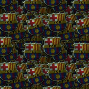 FC Barcelona 24